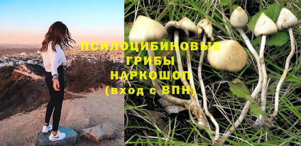 гашиш Белокуриха